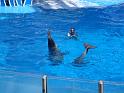 Sea World-158